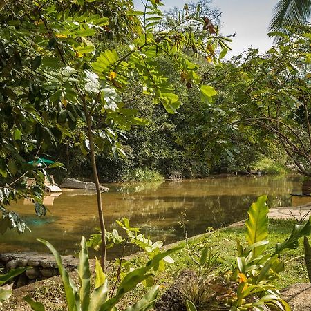 Villa Azalea Inn & Organic Farm JALISCO Экстерьер фото