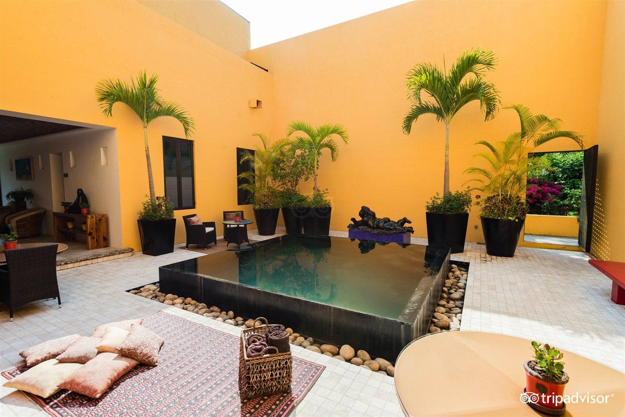 Villa Azalea Inn & Organic Farm JALISCO Экстерьер фото