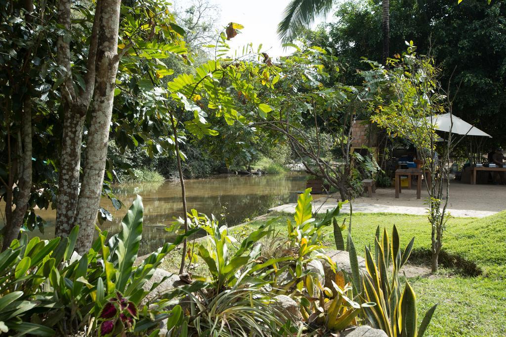 Villa Azalea Inn & Organic Farm JALISCO Экстерьер фото