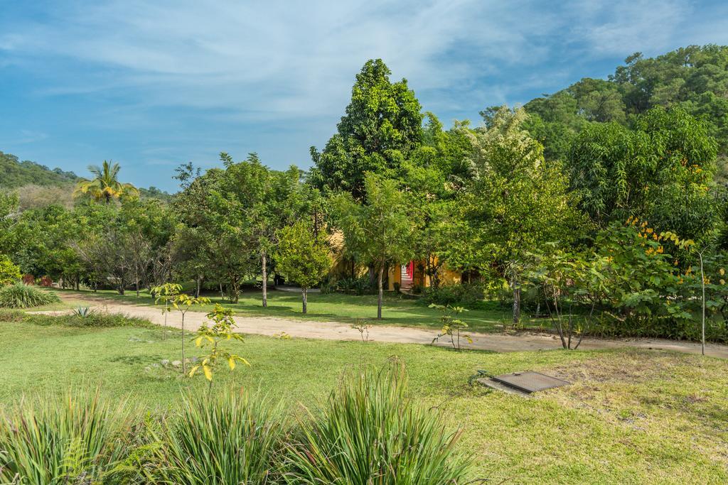 Villa Azalea Inn & Organic Farm JALISCO Экстерьер фото