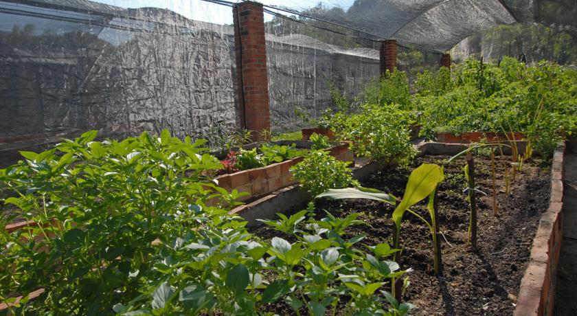 Villa Azalea Inn & Organic Farm JALISCO Экстерьер фото