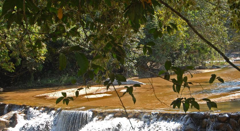 Villa Azalea Inn & Organic Farm JALISCO Экстерьер фото